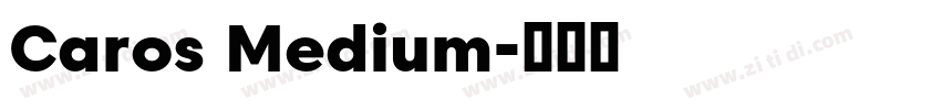 Caros Medium字体转换